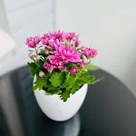 Spacious 1br At Downtown With Balcony * Jyväskylä