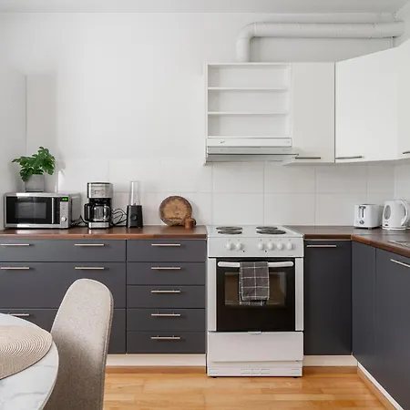 Spacious 1br Downtown With Private Balcony * Jyväskylä