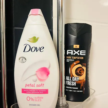 Spacious 1Br At Downtown With Balcony Jyväskylä