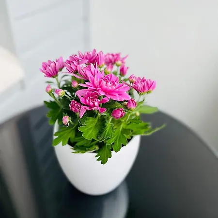 Spacious 1br At Downtown With Balcony * Jyväskylä