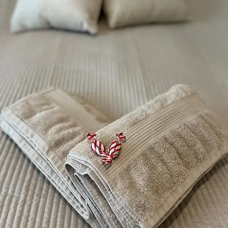 아파트 Spacious 1br Downtown With Private Balcony