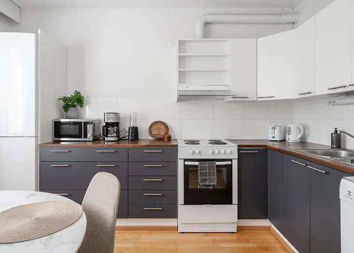 Spacious 1Br At Downtown With Balcony * Jyväskylä