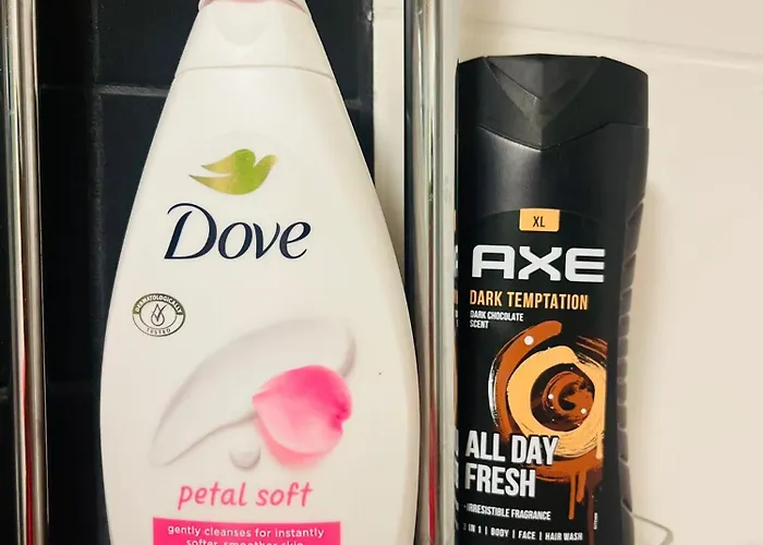 Spacious 1Br At Downtown With Balcony Jyväskylä