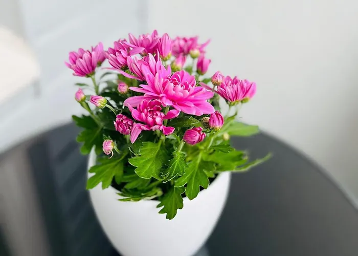 Spacious 1Br At Downtown With Balcony * Jyväskylä